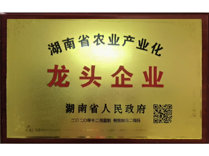 岳陽市漁之源食品有限公司,岳港漁都,洞庭魚港,散稱系列,田螺系列,臭豆腐加工，香豆腐加工，烤脖加工，魚仔,鴨排加工、雞丁加工代加工
